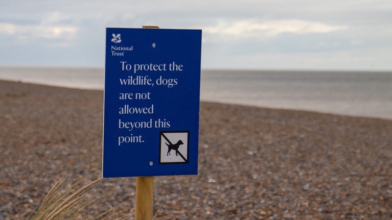 A blue sign on the beach at Blakeney Point which reads To protect the wildlife, dogs are not allowed beyond this point